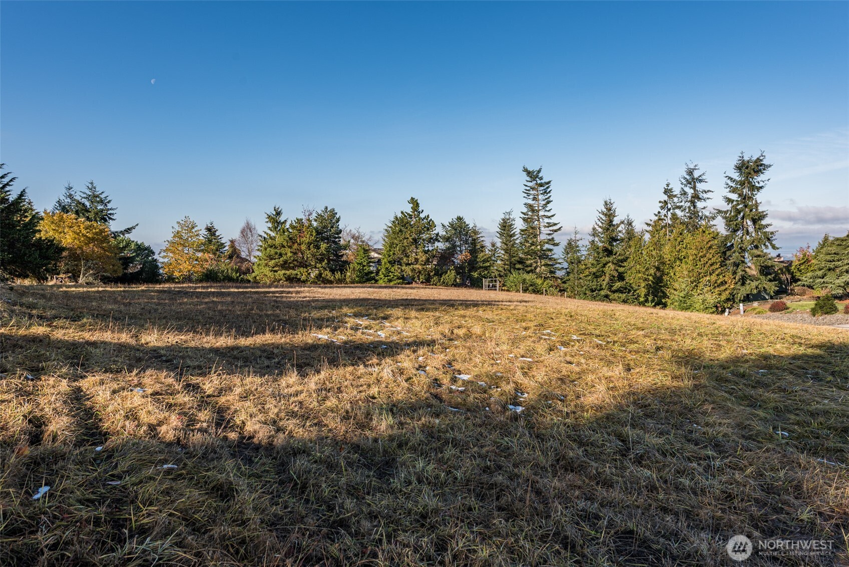 9999 Doe Run Road Sequim WA 98382