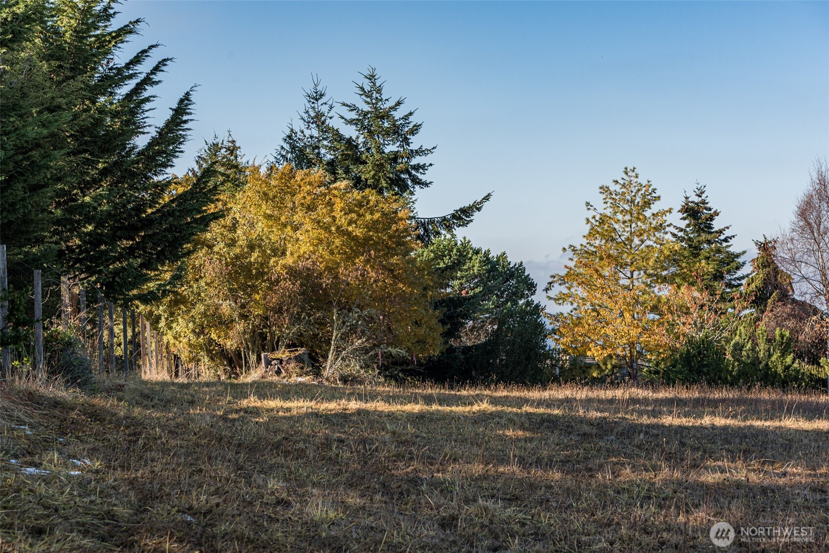 9999 Doe Run Road Sequim WA 98382
