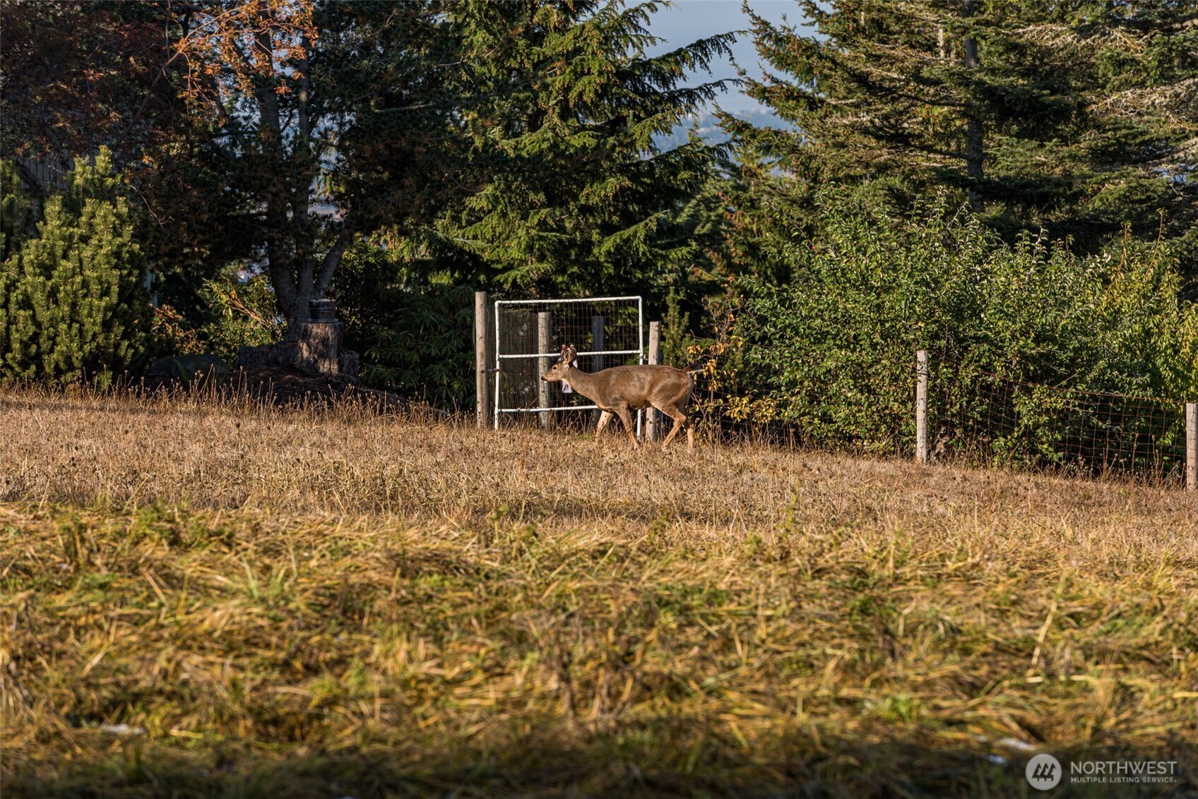 9999 Doe Run Road Sequim WA 98382