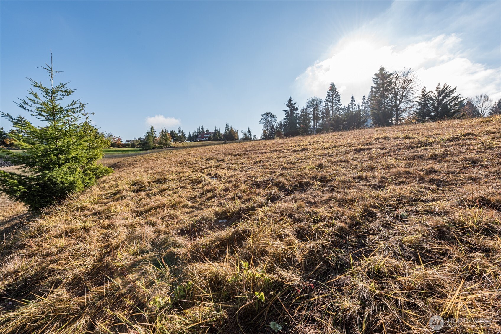 9999 Doe Run Road Sequim WA 98382