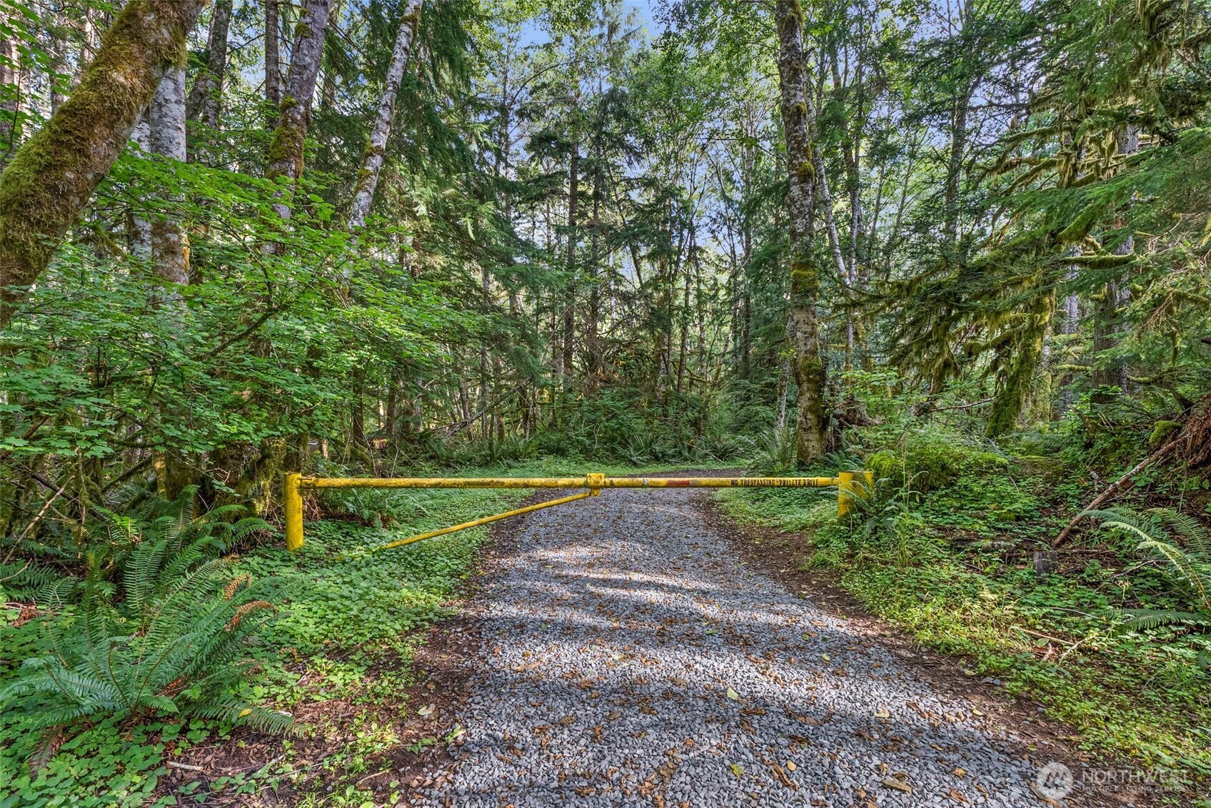 1 Skate Creek Road N Morton WA 98356