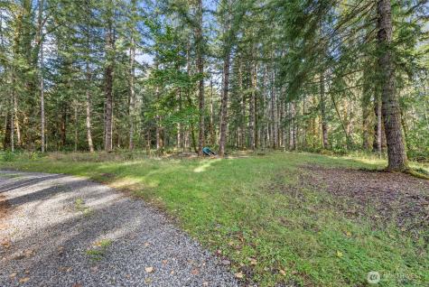 1 Skate Creek Road N Morton WA 98356