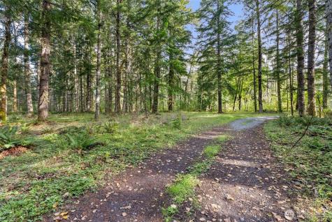 1 Skate Creek Road N Morton WA 98356