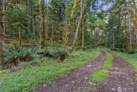 1 Skate Creek Road N Morton WA 98356