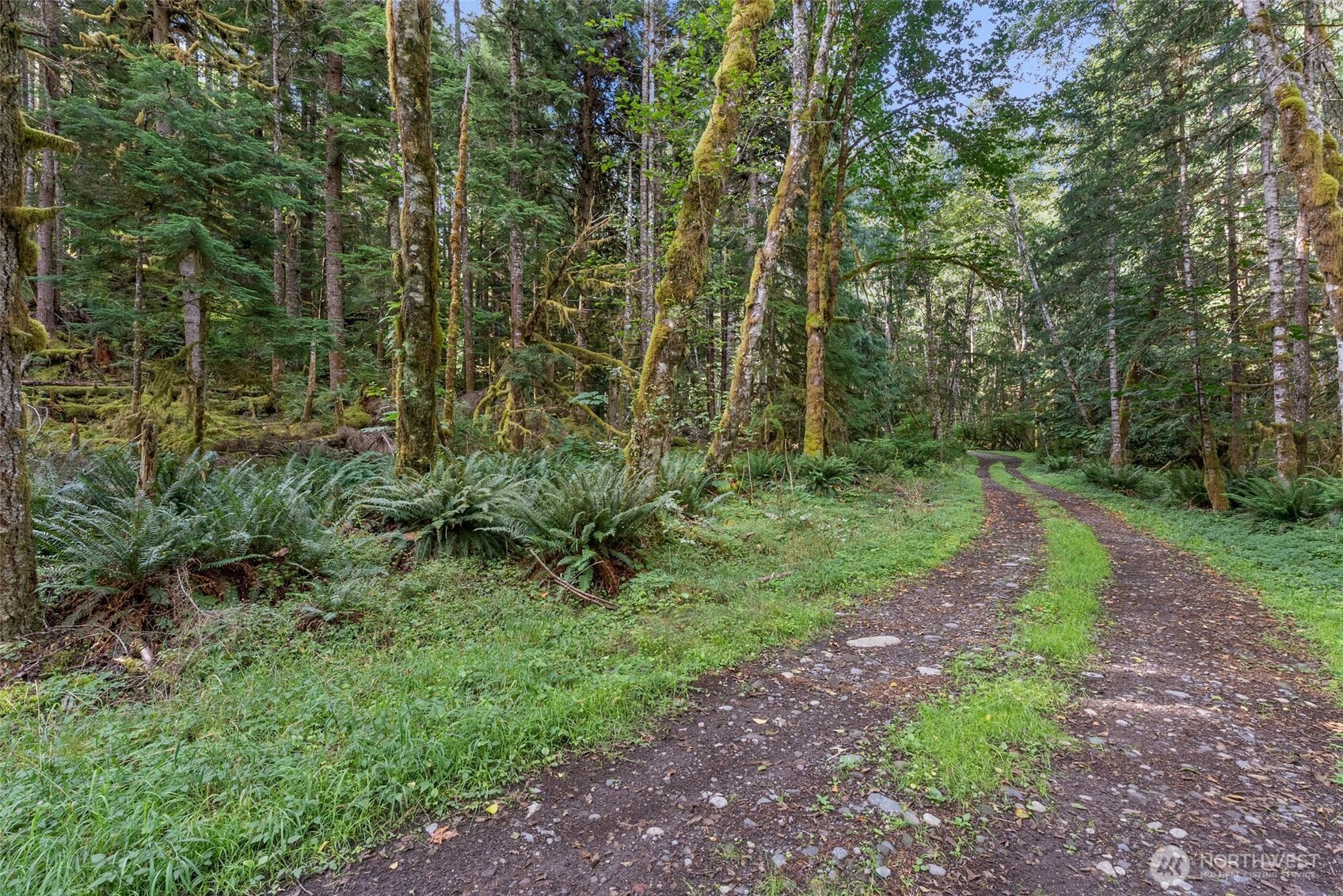1 Skate Creek Road N Morton WA 98356