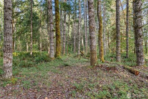 1 Skate Creek Road N Morton WA 98356