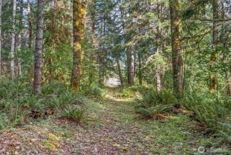 1 Skate Creek Road N Morton WA 98356