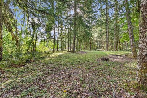 1 Skate Creek Road N Morton WA 98356