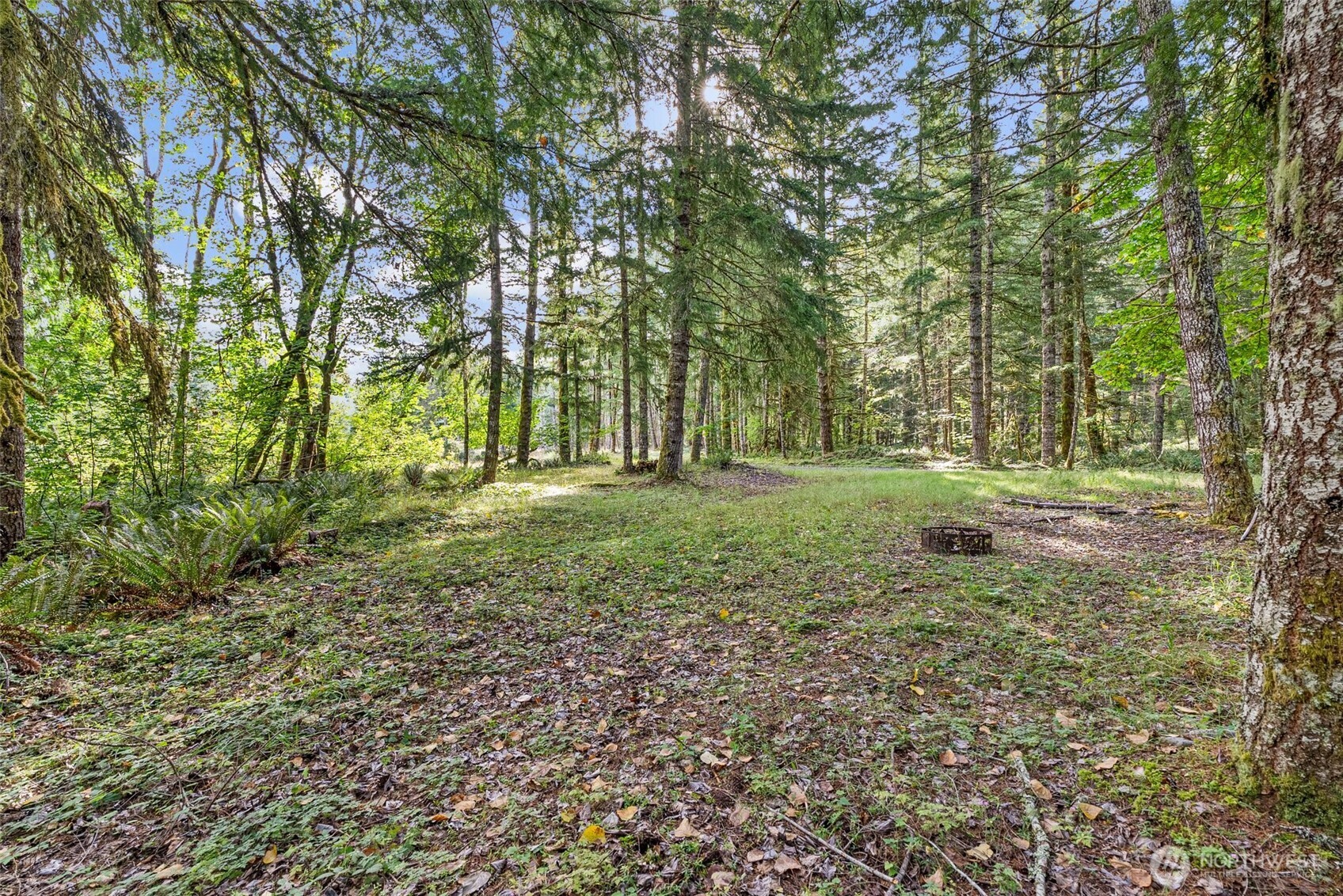 1 Skate Creek Road N Morton WA 98356