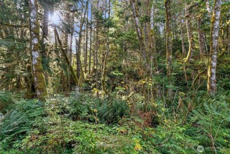 1 Skate Creek Road N Morton WA 98356