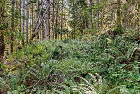 1 Skate Creek Road N Morton WA 98356