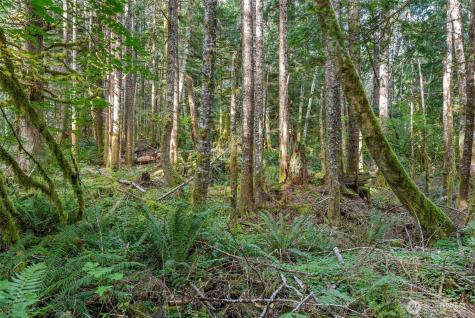 1 Skate Creek Road N Morton WA 98356