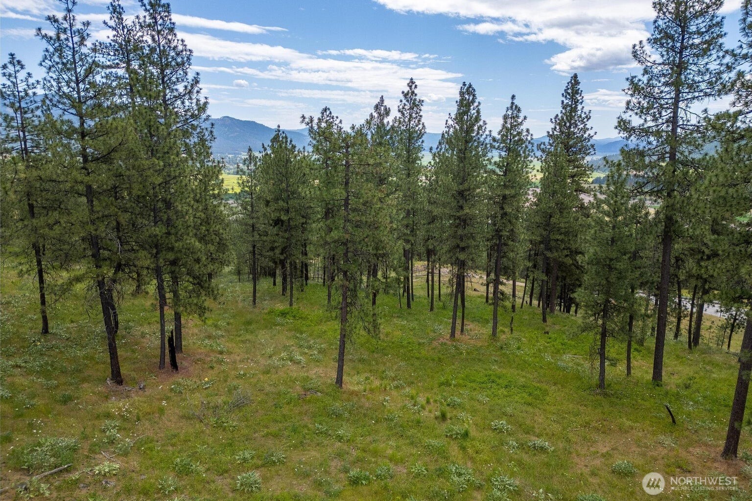 1612 Palmer Loop Chewelah WA 99109