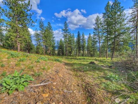 1612 Palmer Loop Chewelah WA 99109