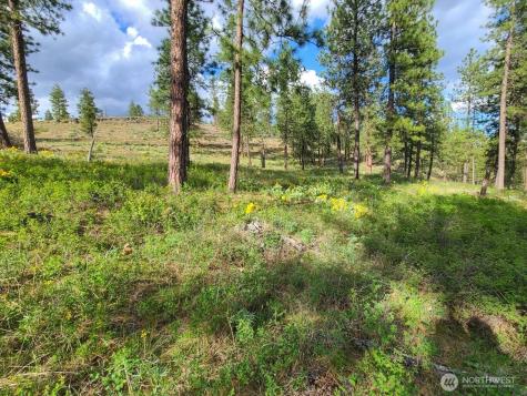 1612 Palmer Loop Chewelah WA 99109