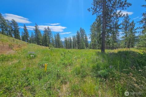 1612 Palmer Loop Chewelah WA 99109