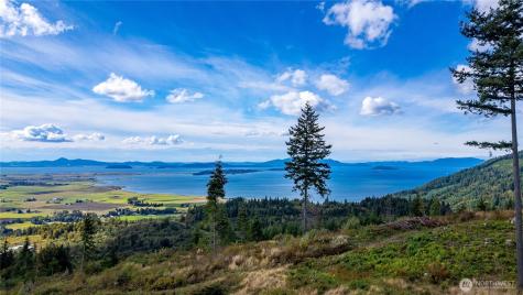 3100 Blanchard Knob Trail Bow WA 98232