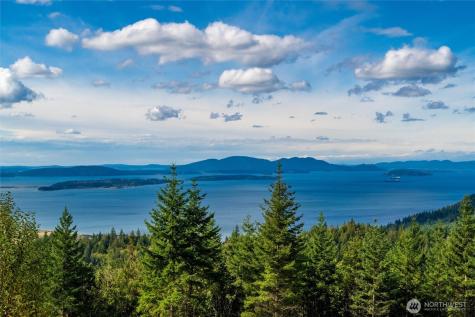 3100 Blanchard Knob Trail Bow WA 98232