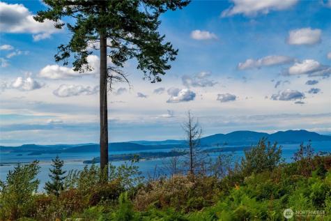 3100 Blanchard Knob Trail Bow WA 98232