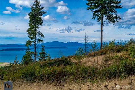 3100 Blanchard Knob Trail Bow WA 98232