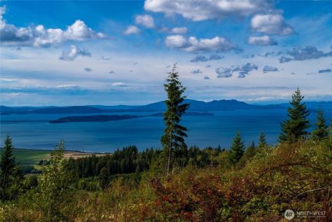 3100 Blanchard Knob Trail Bow WA 98232