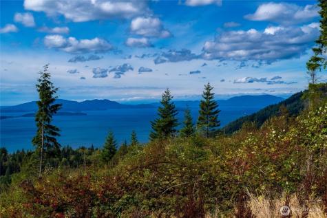 3100 Blanchard Knob Trail Bow WA 98232