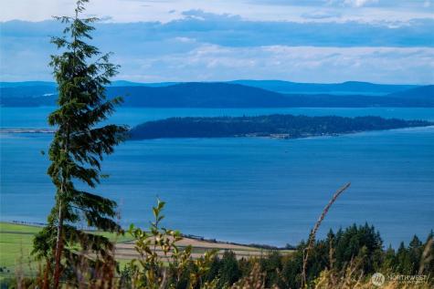 3100 Blanchard Knob Trail Bow WA 98232
