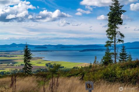 3100 Blanchard Knob Trail Bow WA 98232