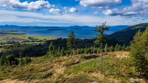 3100 Blanchard Knob Trail Bow WA 98232