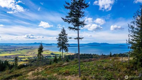 3100 Blanchard Knob Trail Bow WA 98232