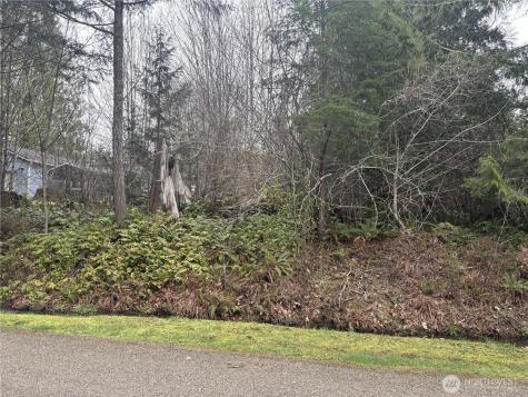 0 SE Fuchsia Avenue Shelton WA 98584