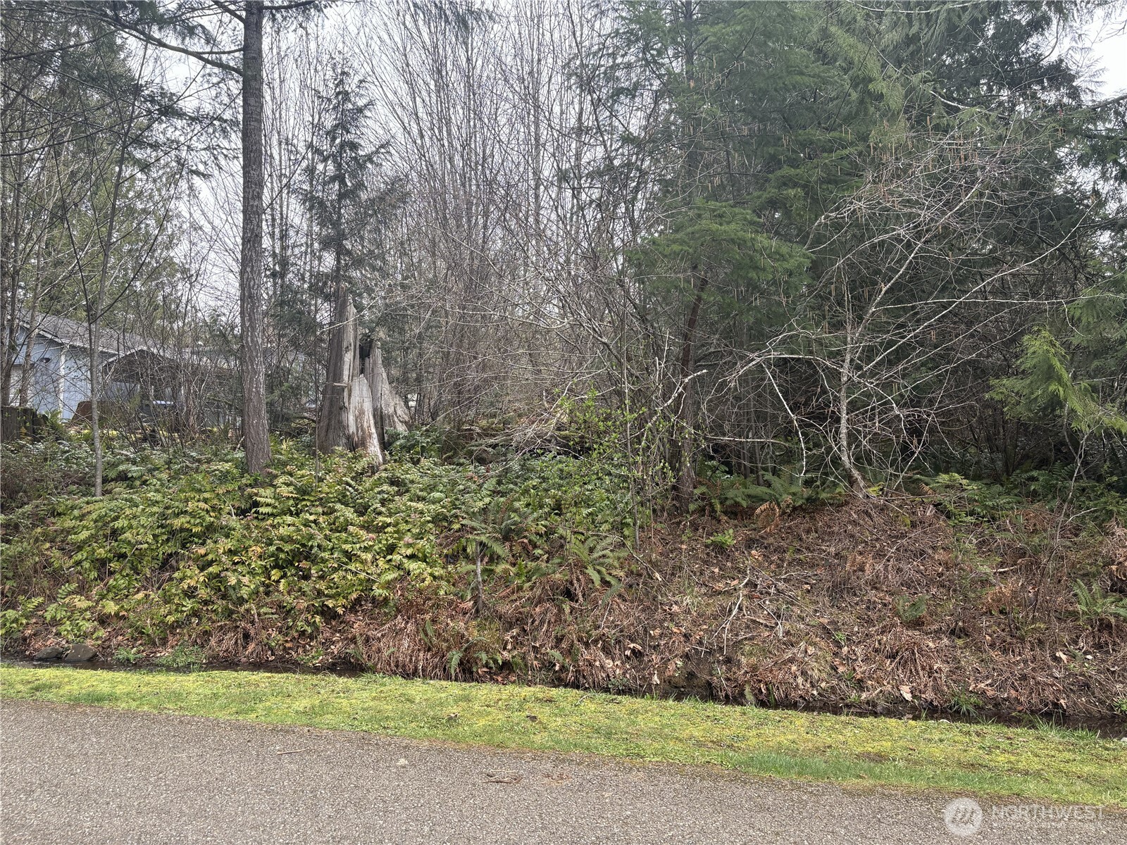 0 SE Fuchsia Avenue Shelton WA 98584