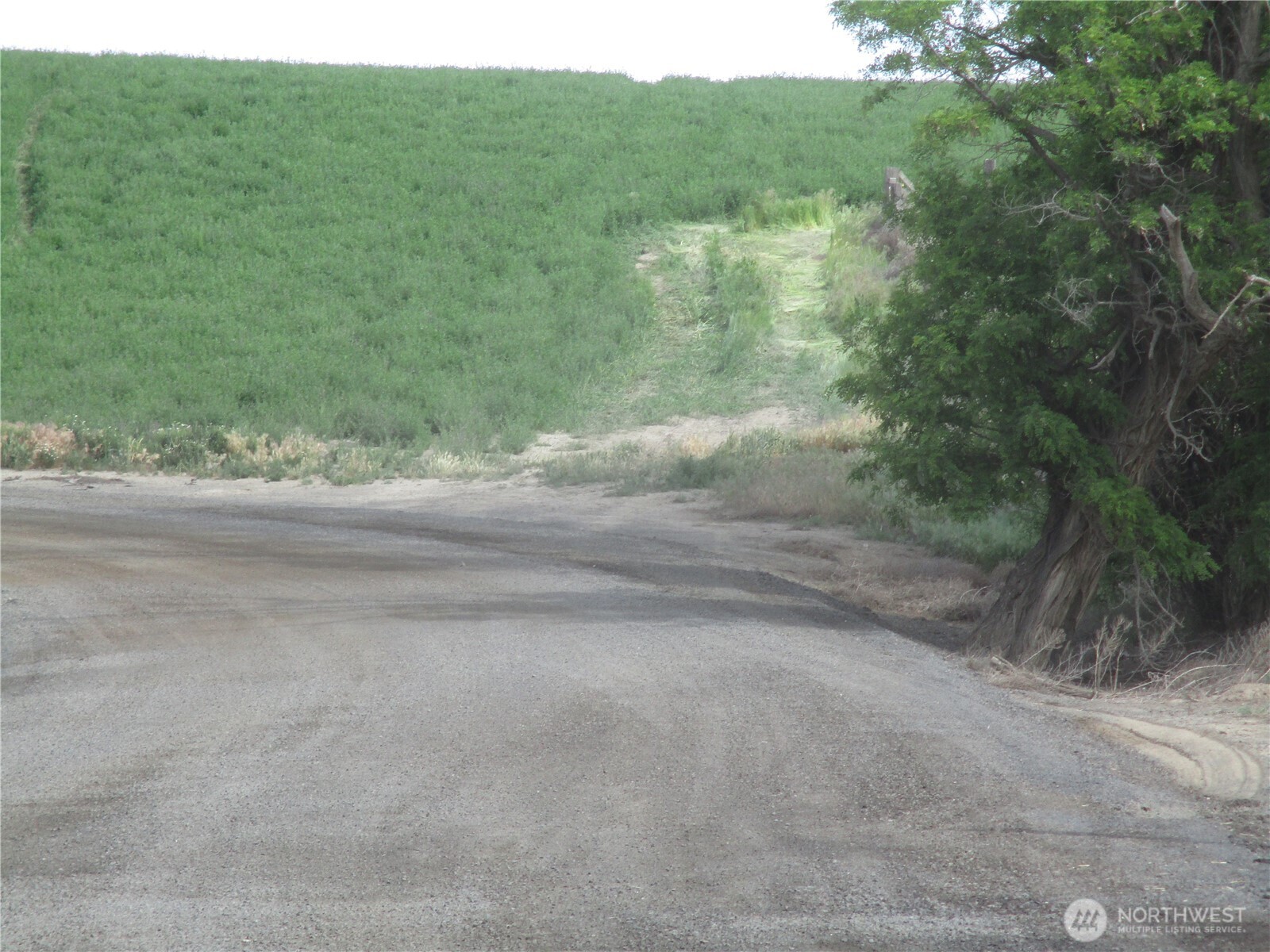0 Ash Hollow Road Touchet WA 99360