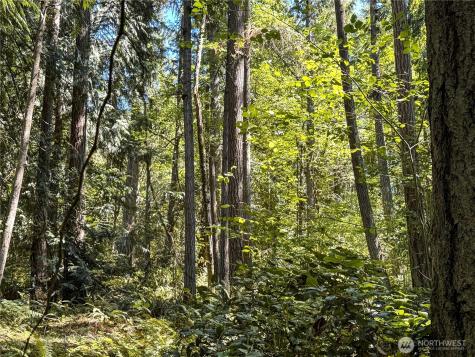 10 To Forest Rock Lane NE Poulsbo WA 98370