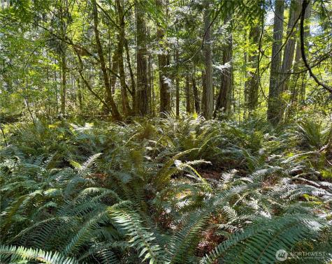 10 To Forest Rock Lane NE Poulsbo WA 98370