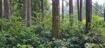 0 NW Holly Road Seabeck WA 98380