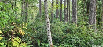 0 NW Holly Road Seabeck WA 98380