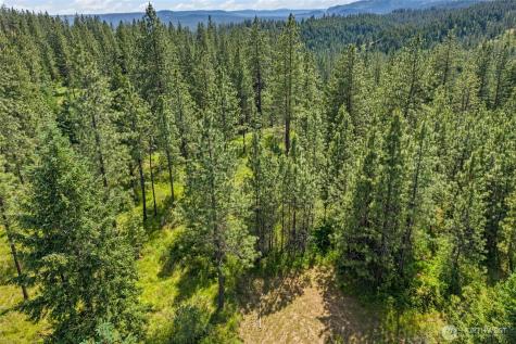 5491 Sailor Road Deer Park WA 99006