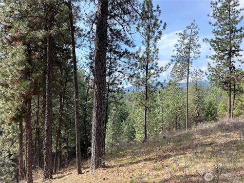 5491 Sailor Road Deer Park WA 99006