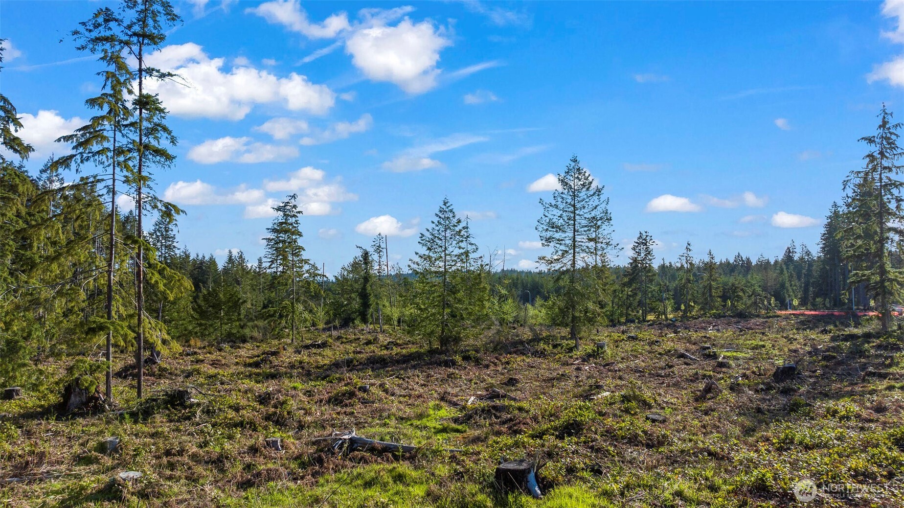 0 Vacant Land Port Orchard WA 98367