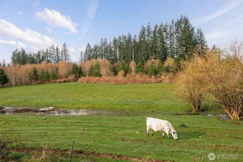 13420 12th Street NE Lake Stevens WA 98258