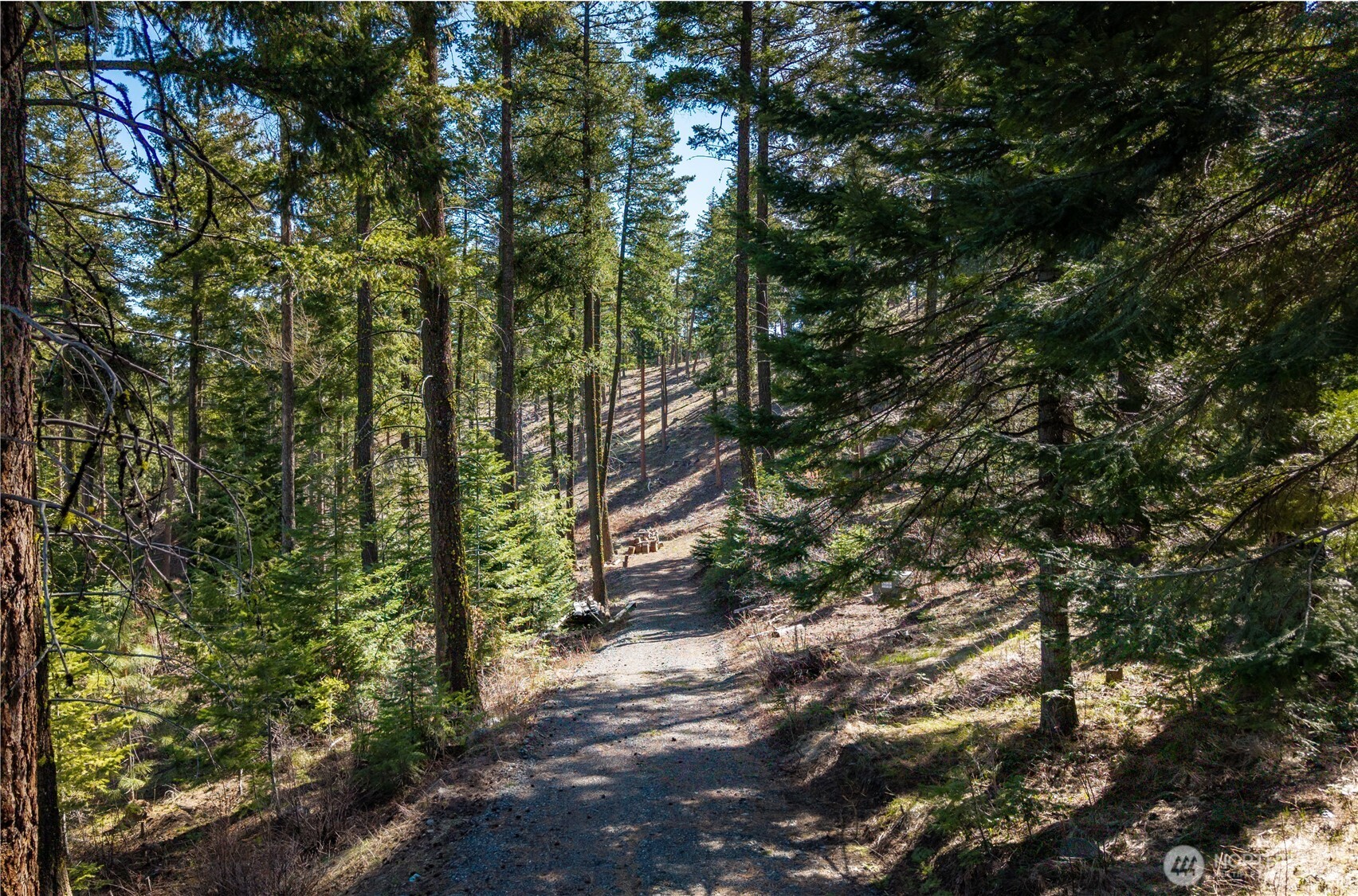 6761 Forest Ridge Drive Wenatchee WA 98801