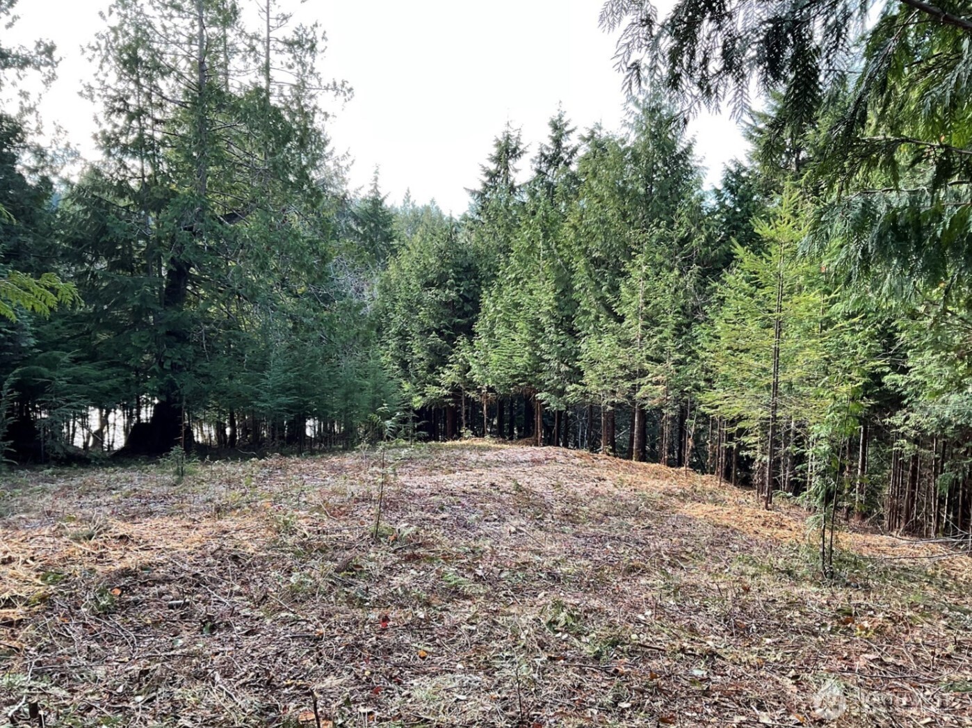 29 Spruce Court South Bend WA 98586