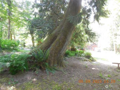 0 East Cascade Drive Marblemount WA 98267