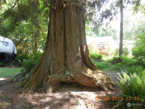 0 East Cascade Drive Marblemount WA 98267