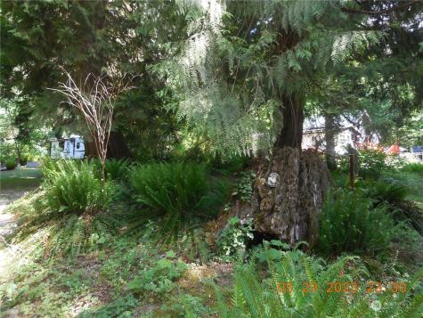 0 East Cascade Drive Marblemount WA 98267