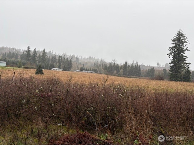102 Maulwee Drive Silver Creek WA 98585