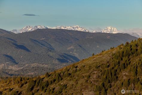 1 Usfs 5350 Chelan WA 98816