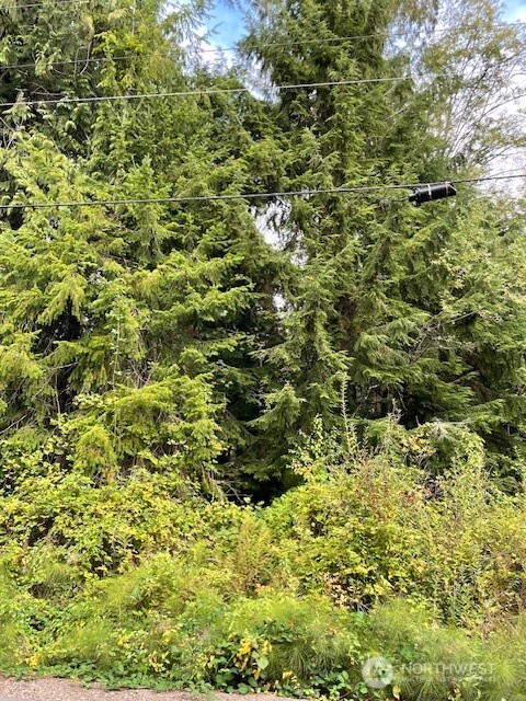 0 SE Spring Creek Road Port Orchard WA 98367