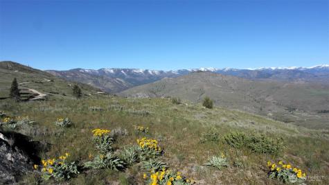 31 Cowboy Road Methow WA 98834